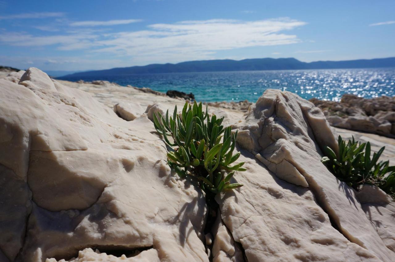 Studio Apartment Michelle - Intermezzo With Sea View Rabac Buitenkant foto